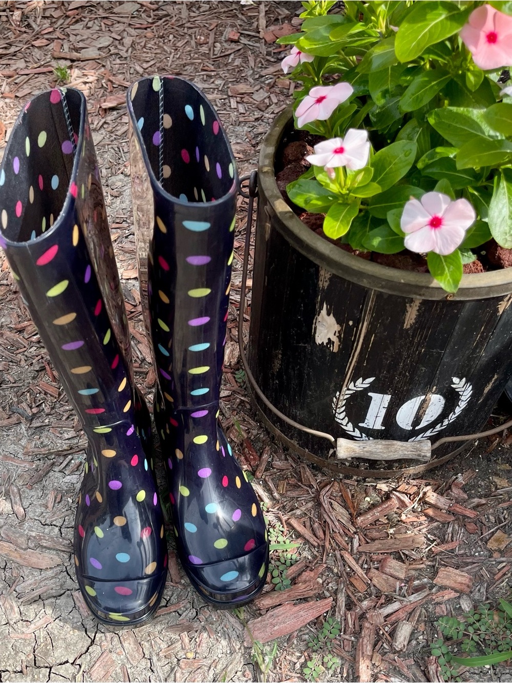 Black Rain Boots with Multicolor Polka Dots